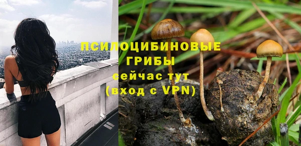 дмт Алзамай