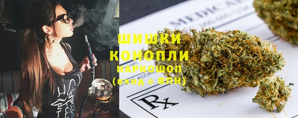 ГАЛЛЮЦИНОГЕННЫЕ ГРИБЫ Алексин