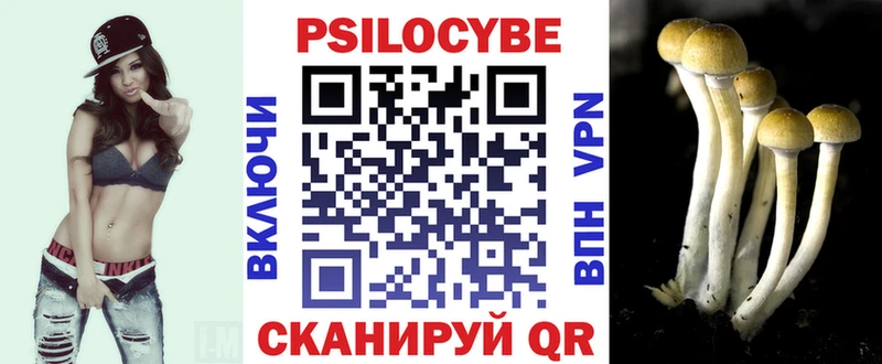 купить наркотик Алзамай ОМГ ОМГ ссылки Псилоцибиновые грибы Psilocybe